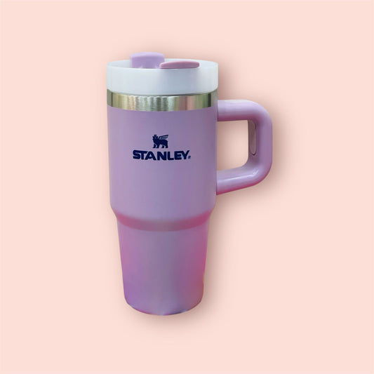Stanley quencher H2.0 Flowstate Tumbler | 14oz