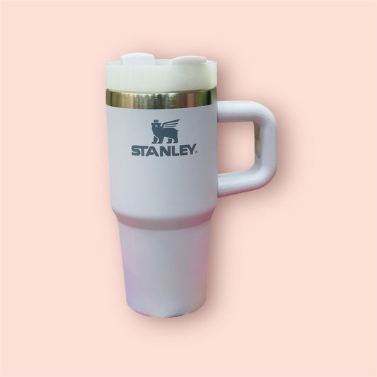 Stanley quencher H2.0 Flowstate Tumbler | 14oz