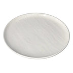 10.5"Flat Plate Porcelain 24c R