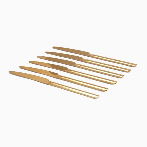 Winsor Golden stainless steel 24 PCs spoon set